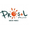 プロッソル(PROSOL)